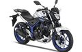 Pilihan Naked Bike Murah, Yamaha MT-25, Z250 dan Duke 250, Start di Rp 28 Jutaan