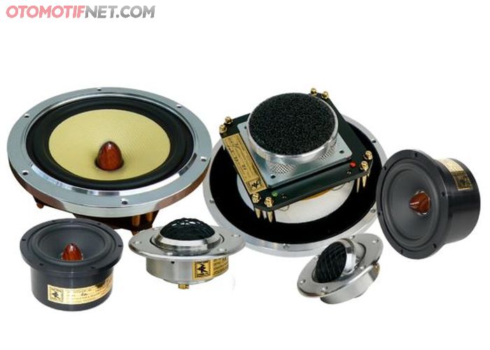 Ingin Upgrade Speaker Pintu Sendiri Begini Cara Pasang Yang Benar Gridoto Com