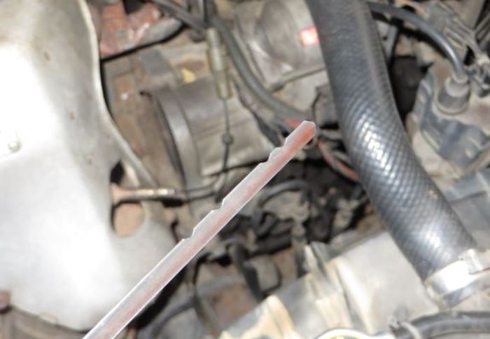 Dipstick Oli Transmisi