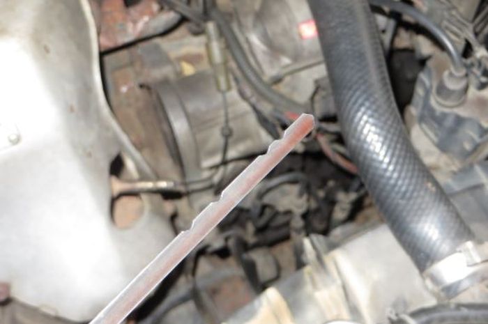 Dipstick Oli Transmisi
