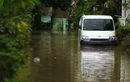 Ini 5 Ciri-ciri Mobil Bekas Terendam Banjir, Paling Gampang Dengerin Suara Mesin