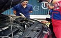 Pemilik Honda CR-V Ini panik Setengah Mati Akibat Ular Berbisa Masuk ke Kap Mesin, Petugas Damkar Langsung Gerak Cepat