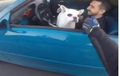 Pemakai Moge dan Sedan Sport Kebut-Kebutan, Jadi Akur Gara-Gara Anjing