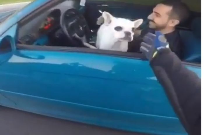 Biker menyapa anjing piaraan 