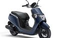 Sudah Dijual di Jepang, Honda Dunk 2026: Simak Spesifikasinya