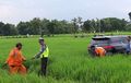 Sopir Mengantuk, Toyota Fortuner Nyemplung ke Sawah di Tol Madiun-Ngawi