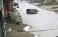 Mau Ketawa Takut Kualat, Ditabrak Anjing, Bajay Langsung Terguling