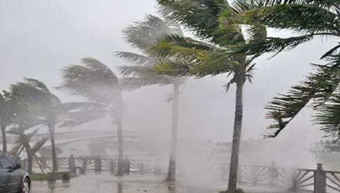 Illustrasi angin kencang