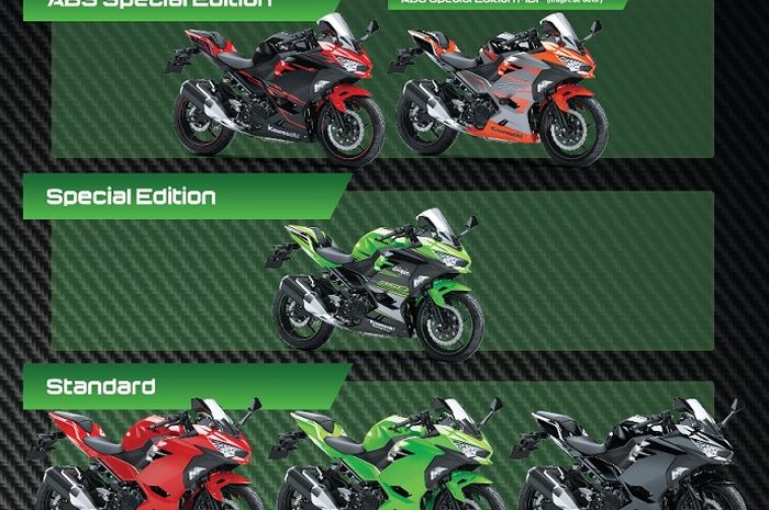 Kawasaki New Ninja 250 all color