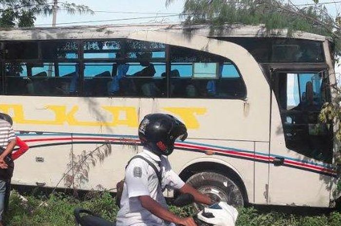 Bus tabrak Pohon