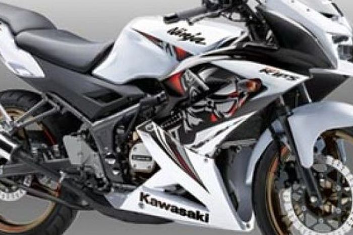 Kawasaki Ninja 150 RR 2015