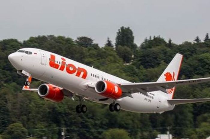 Ilustrasi pesawat Lion Air