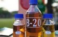 Rumor Biodisel B20, Punya Senyawa Pelarut, Bikin Filter Bahan Bakar Mampet