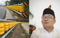 Ridwan Kamil Contek Pagar Pembatas Jalan Korea Selatan, Kurangi  Risiko Masuk Jurang