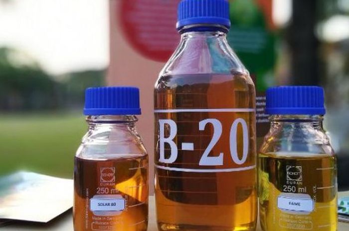 Biodiesel B20