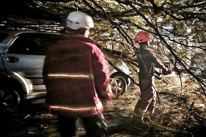 Toyota Rush tertimpa pohon di Bandung