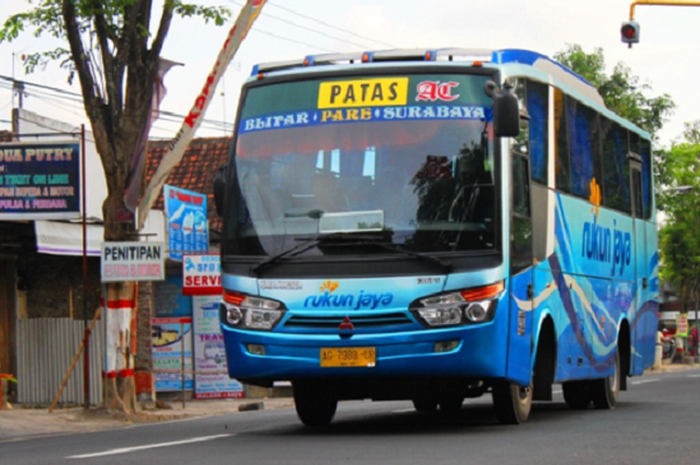 Ilustrasi bus PATAS