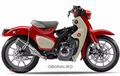 Honda Super Cub Tampil Berotot, Cangkok Mesin 390 cc Ganti Rangka Tubular, Kesan Imut Hilang Seketika