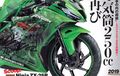 Ninja 250 cc 4 Silinder Bakal Diproduksi, Kawasaki ; Kalau Konsumen Mau Kenapa Tidak?