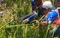 Bukan Buaya, Orang Ini 'Tangkap' Motor Bebek Dari Rawa Berair Keruh