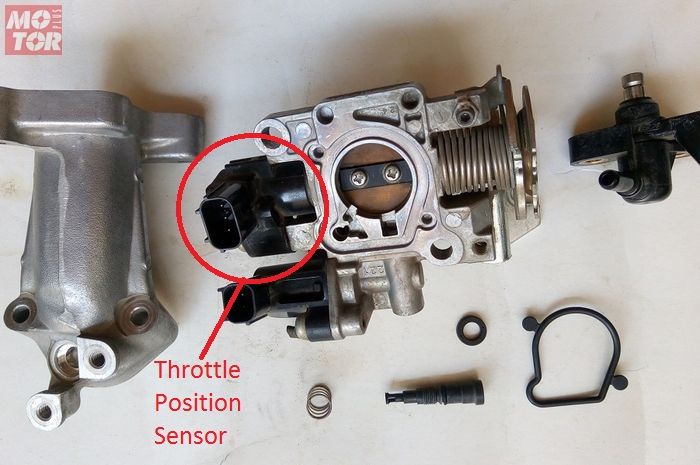 Posisi Throttle Position Sensor