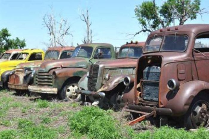 Beberapa mobil yang akan dilelang