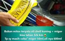 Minyak Goreng Bikin Oli Mesin Motor Tahan Sampai 5.000 Km? Ini Faktanya