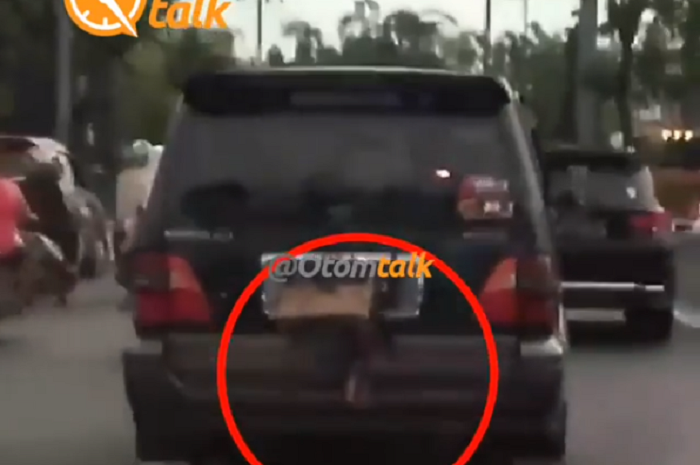 Seekor ayam terikat di belakang bagian mobil