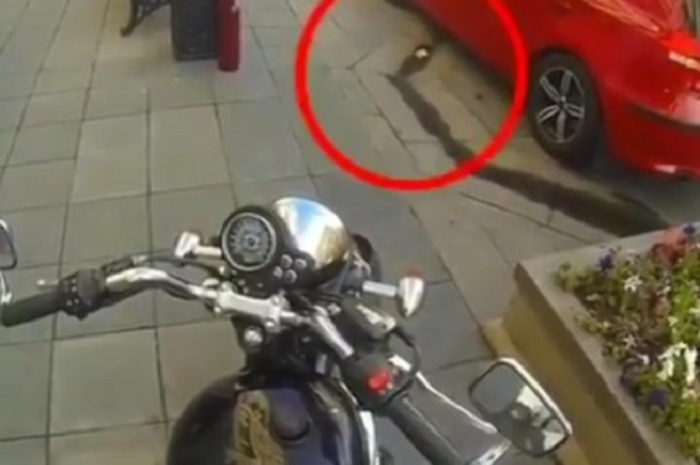 Instagram/@bike.viral