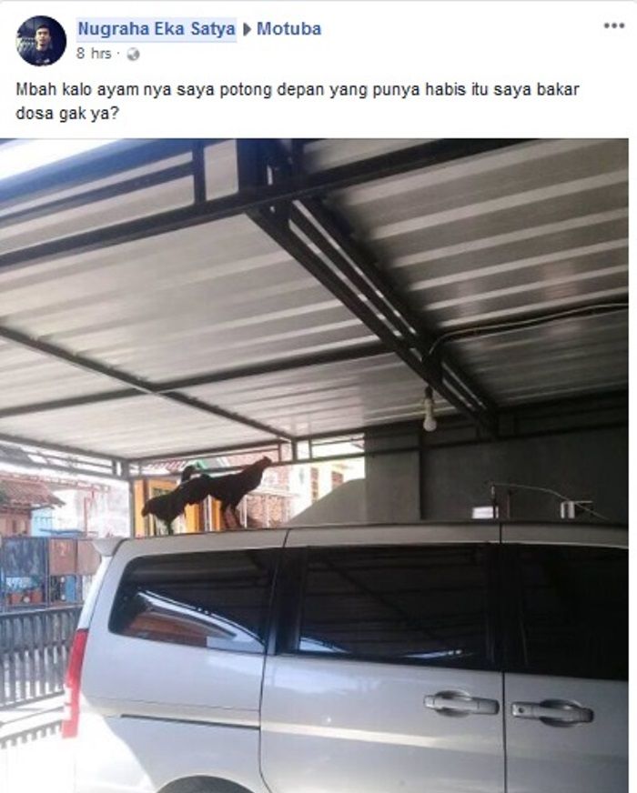 Postingan di Grup Facebook Motuba tentang serbuan binatang peliharaan nangkring di mobil