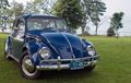 Tertarik dengan VW Beetle Lawas? Ingat 5 Hal Ini Saat Mengendarainya