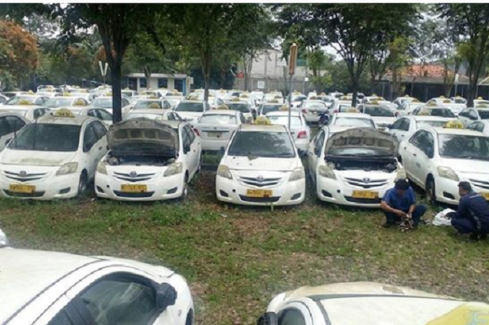 Puluhan hingga ratusan mobil Toyota Vios Limo eks Taksi putih berjejer  siap dipinang