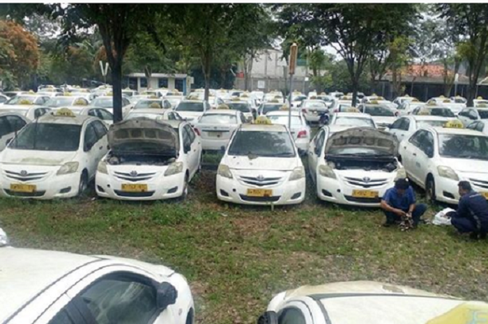 Puluhan hingga ratusan mobil Toyota Vios Limo eks Taksi putih berjejer  siap dipinang
