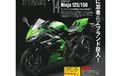 Apakah Kawasaki Ninja 125 Bisa Dijual di Indonesia? 