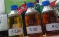 Biodiesel, Ini Asal Mula dan Penemunya