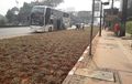 Aneh Banget, Ada Area Rumput Antara Halte Bus Dengan Jalan Sudirman, Apa Maksudnya?