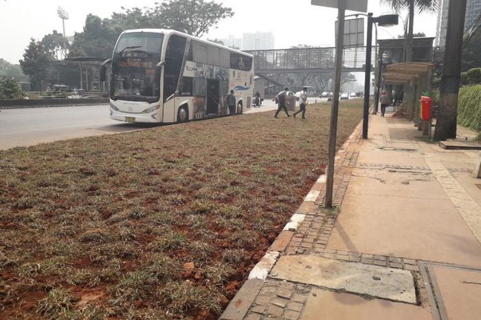Dua orang penumpang bus nekat menyeberangu area rerumputan yang memisahkan halte bus di depan Gedung Graha CIMB Niaga, Senayan, dengan Jalan Jenderal Sudirman, Selasa (24/7/2018).(KOMPAS.com/Ardito Ramadhan D)