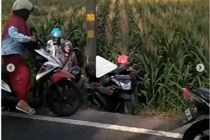 Pengendara Honda BeAT masuk ke sawah akibat dipepet rombongan moge