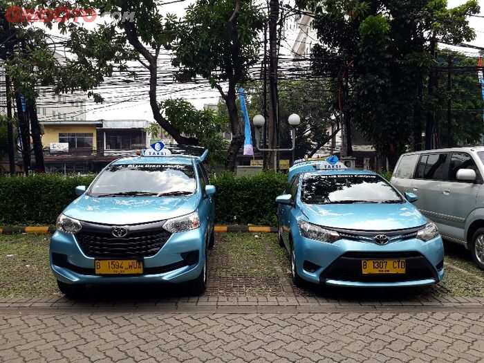 Blue Bird remajakan armada sedan dengan MPV