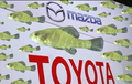 Gara-gara Ikan, Toyota dan Mazda Digugat