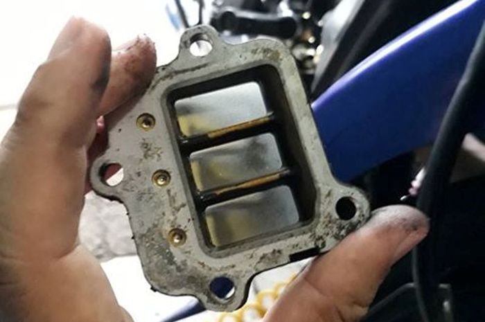 Trik Jitu Atasi Lidah Reed Valve Terbuka Cuma Digosok