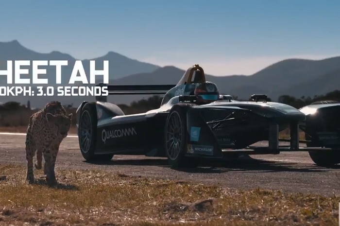 Mobil Formula E adu cepat dengan cheetah