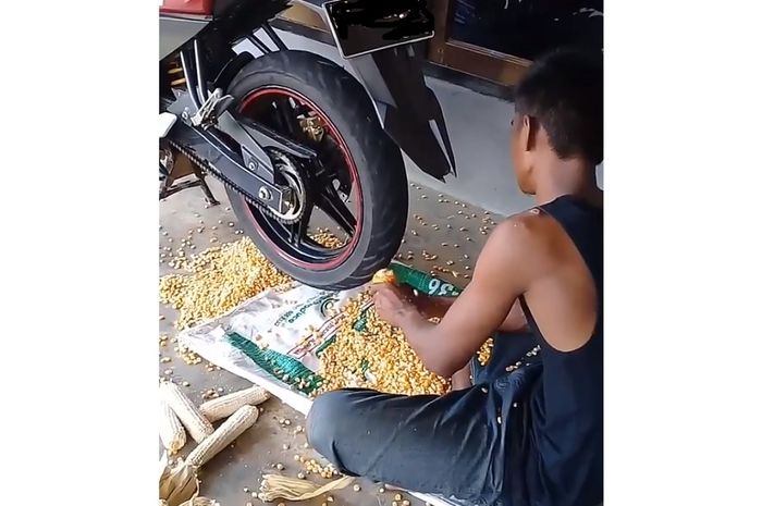 Pria pipil jagung pakai ban motor