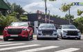 Trio Isuzu D-Max Baru Kompak Gaya Sporty Dengan Setup Kaki Merunduk