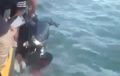 Video Yamaha NMAX Nyemplung ke Laut, Emak-emak Teriak Minta Tolong