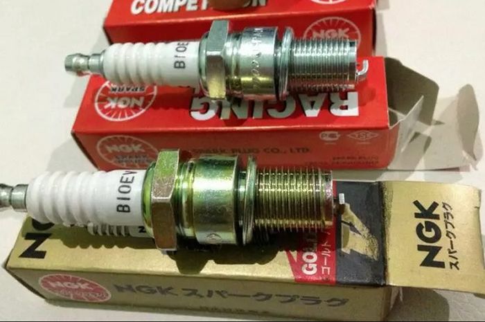 Busi NGK Gold Paladium