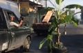Aneh, Tiba-Tiba Banyak Mobil dan Motor Melintas Di Kebun Pisang, Ternyata Ini Faktanya