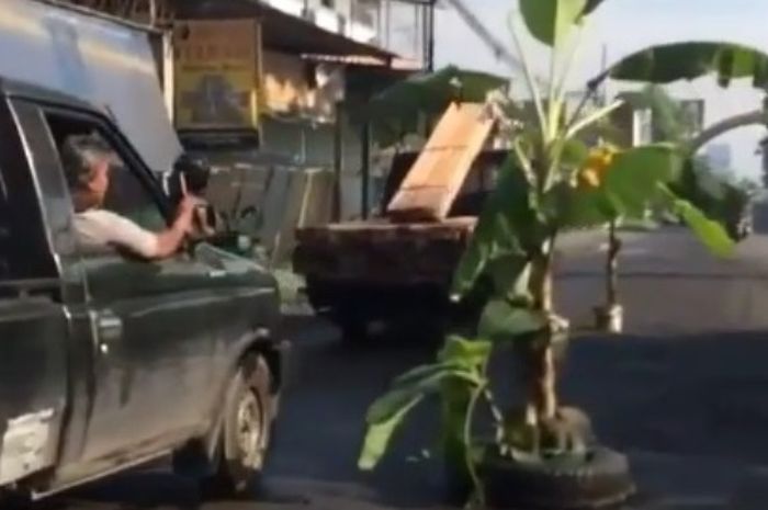 Jalan raya Colomadu Jawa Tengah berubah jadi kebun pisang
