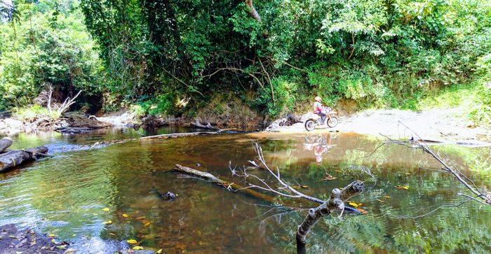 Ekspedisi Memotong Kalimantan. Jembatan rusak memaksa untuk mencari jalur alternatif, mencari permukaan sungai yang dangkal