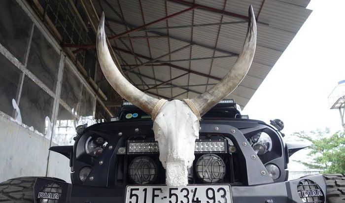 Tengkorak hewan dengan tanduk panjang menjulang ke atas di bumper